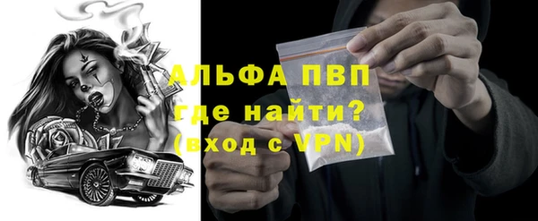 стаф Коряжма