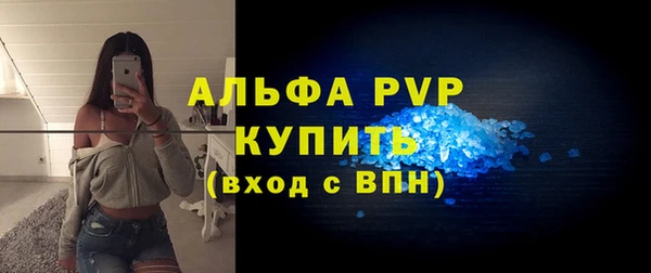 стаф Коряжма