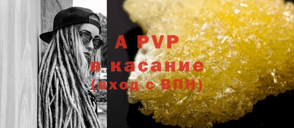 гашик Корсаков
