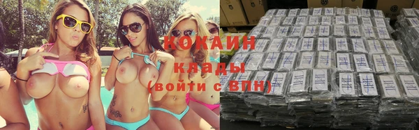 стаф Коряжма